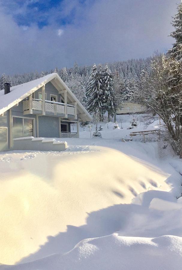 Chalet Le Flocon Bleu - Mauselaine Avec Vue Sur Le Lac De Gérardmer Exterior foto